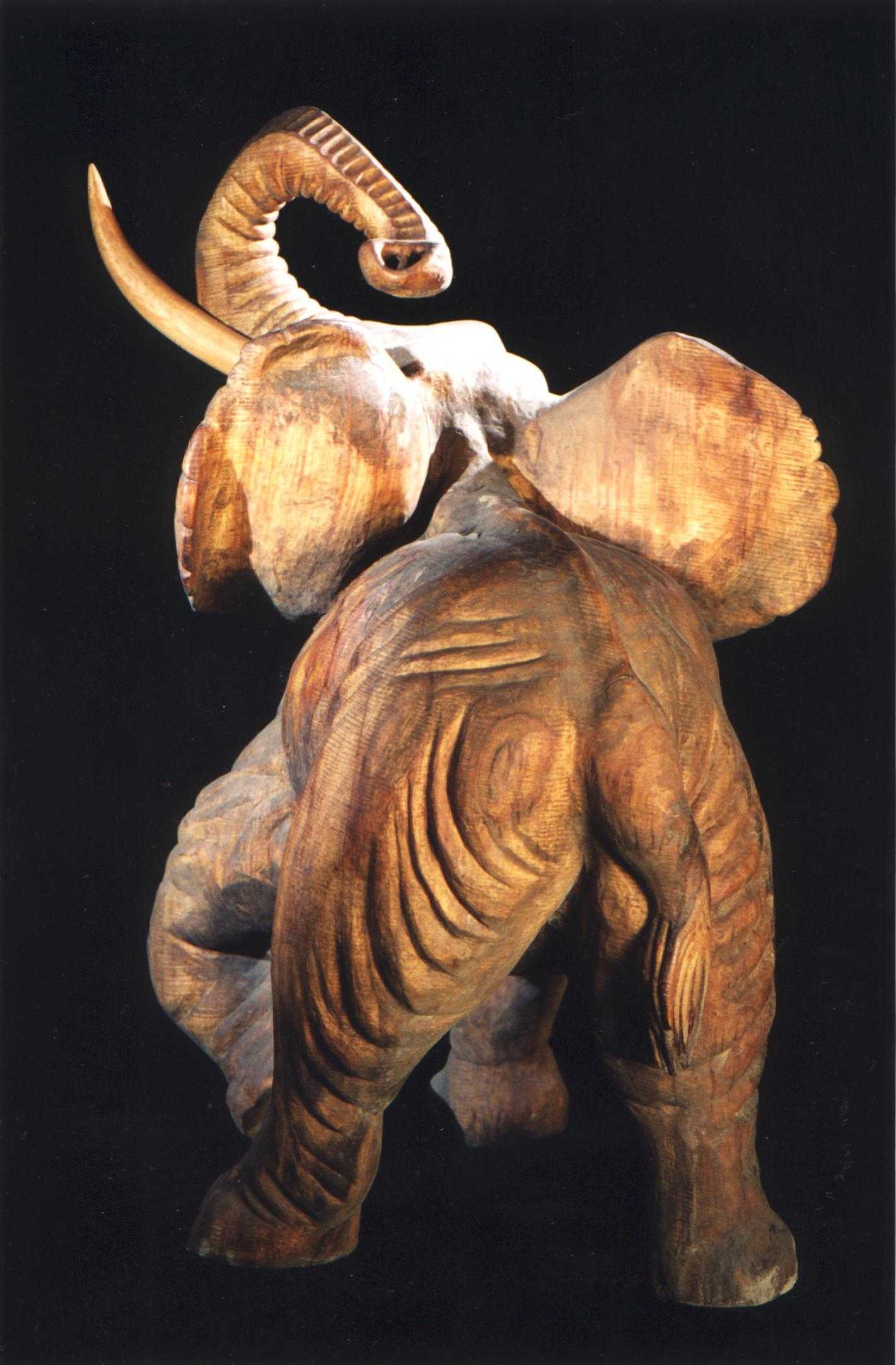 Sa majesté l'éléphant
